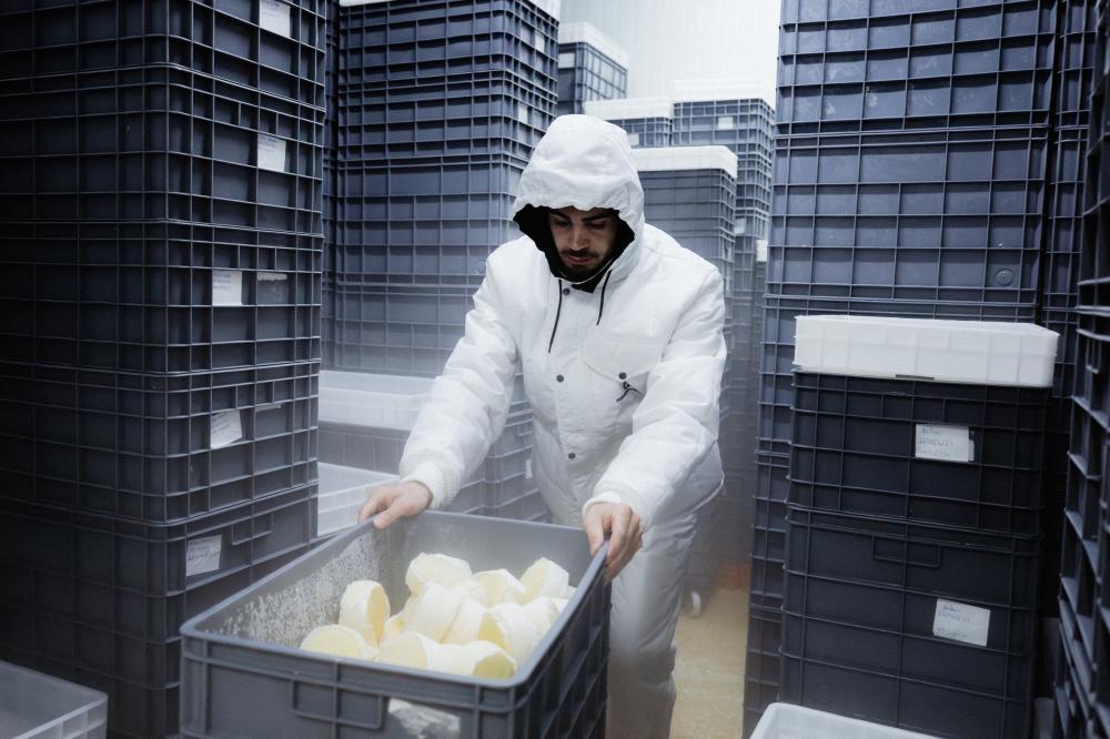 Image de Ticeworkwear® 